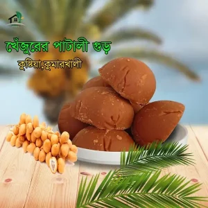 খেজুরের পাটালি গুড়